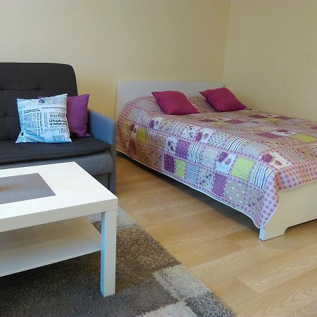 Gina'S Apartment Partizanu G Kaunas Kültér fotó