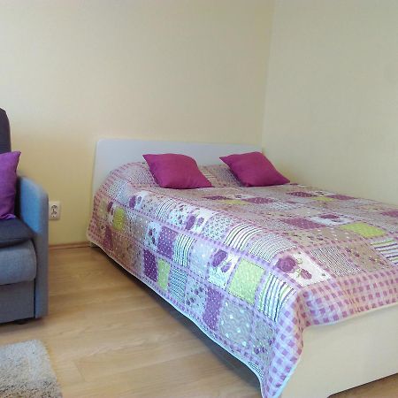 Gina'S Apartment Partizanu G Kaunas Kültér fotó