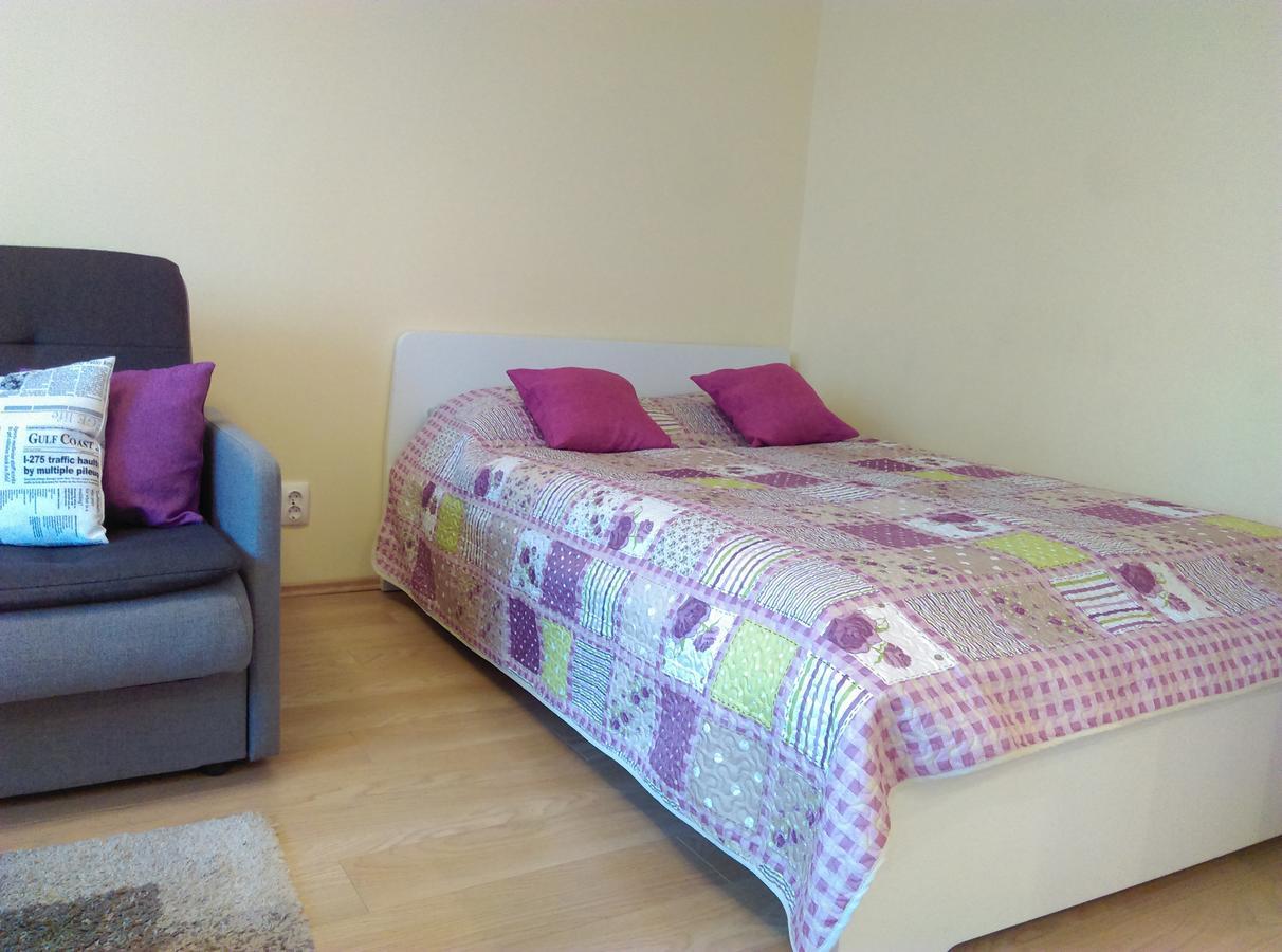 Gina'S Apartment Partizanu G Kaunas Kültér fotó